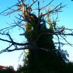 Samothraki