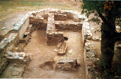 paterma