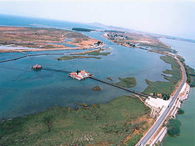 portolagos