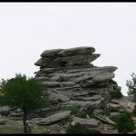 balazsh - 2006