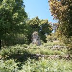 paleohori_osi_falu_53