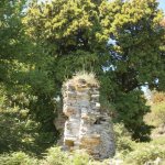 paleohori_osi_falu_54