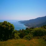 paleohori_osi_falu_58