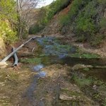 tavaszi_kirand_064