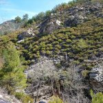 tavaszi_kirand_066