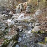 tavaszi_kirand_075