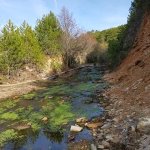 tavaszi_kirand_078