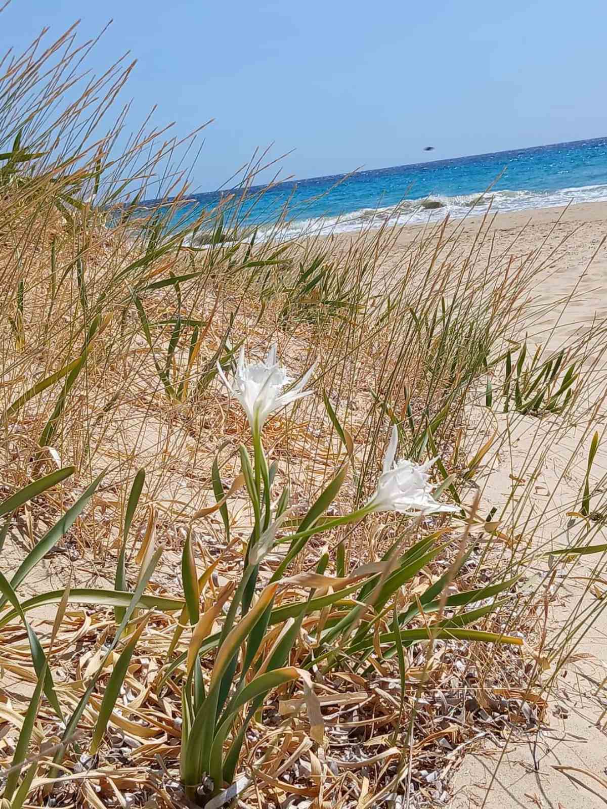 natura2000 09