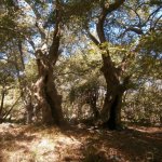 Samothraki 2014. szeptember