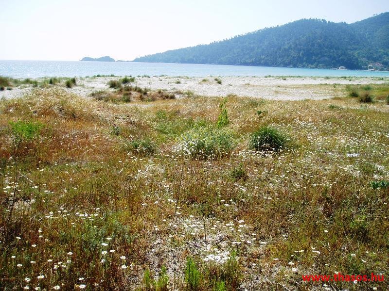 Golden Beach