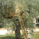 Akrogiali-Anseon Villa *****