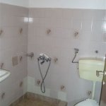 alexander_02