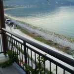 alexander_29