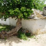 Kastro
